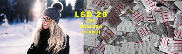 PSILOCYBIN Балабаново